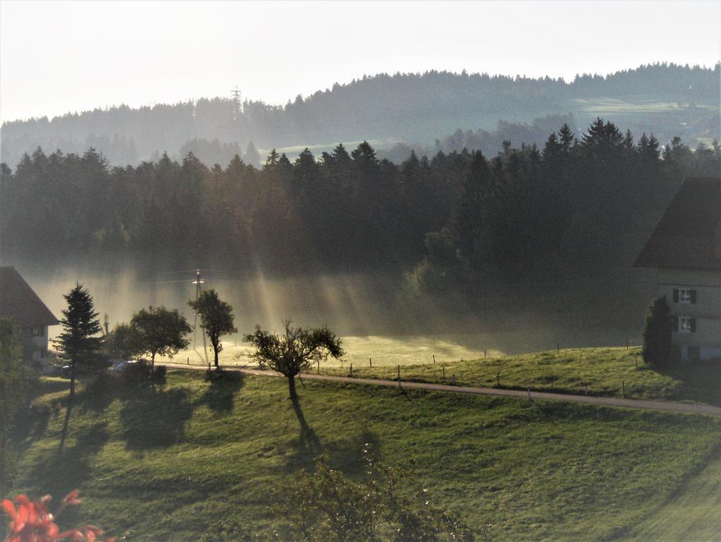 Bio-Bauernhof Heidegger Villa Möggers Buitenkant foto