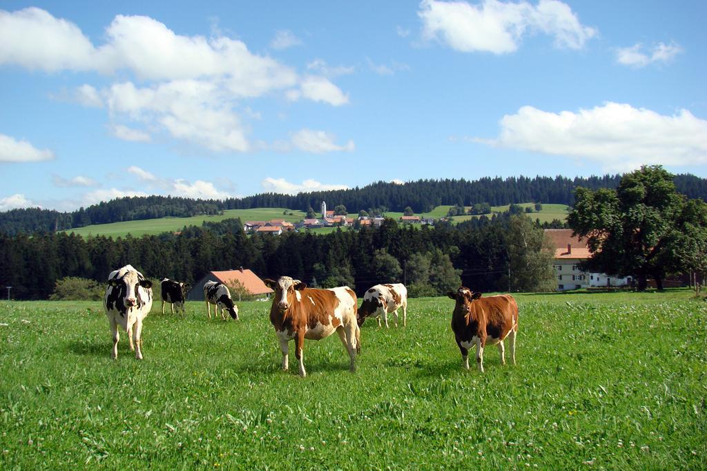 Bio-Bauernhof Heidegger Villa Möggers Buitenkant foto