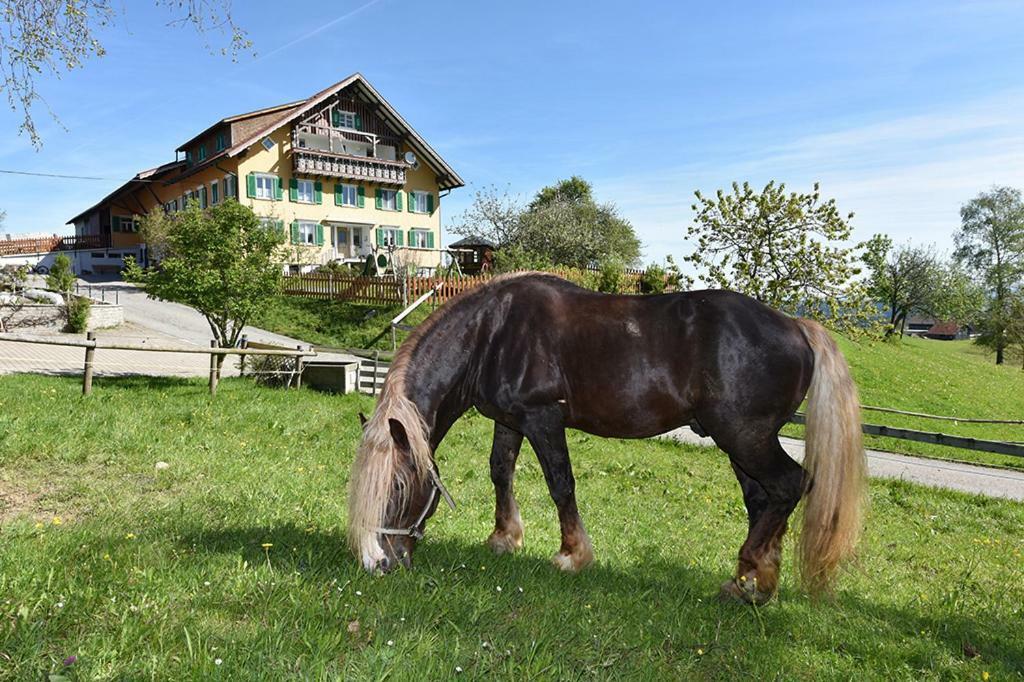 Bio-Bauernhof Heidegger Villa Möggers Buitenkant foto